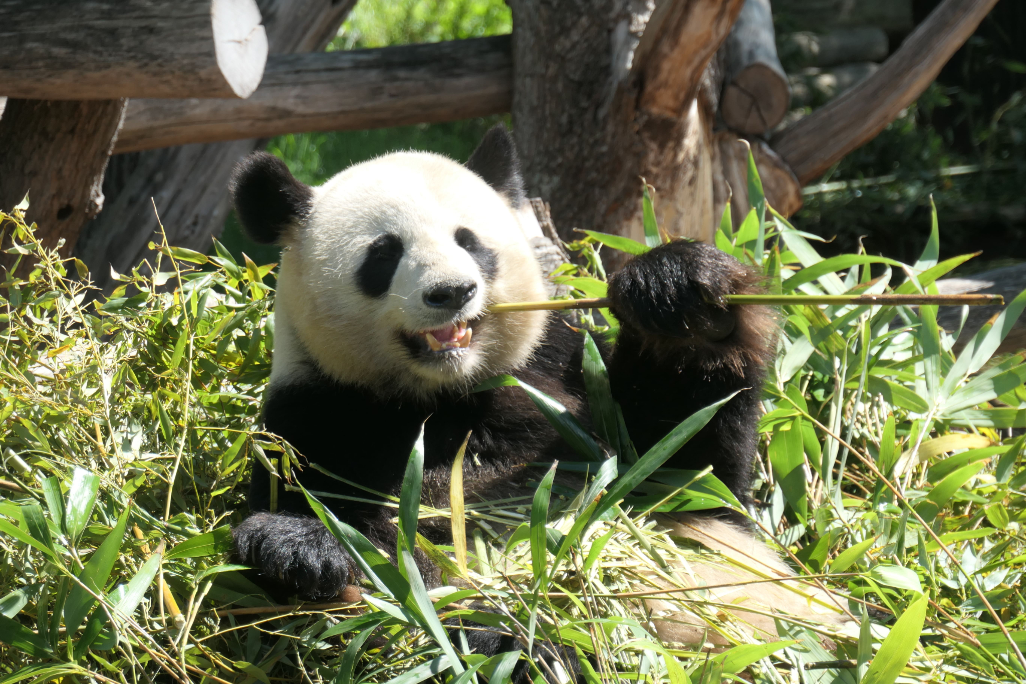 Tierpark Zoo  27